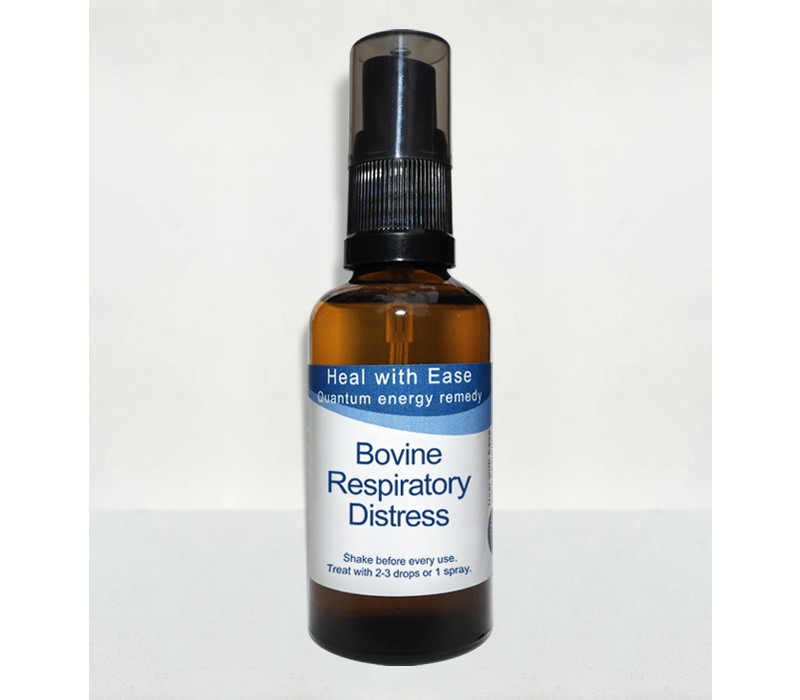 Bovine Respiratory Distress